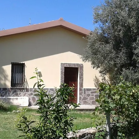 Farm stay Agriturismo Torre Rinusa