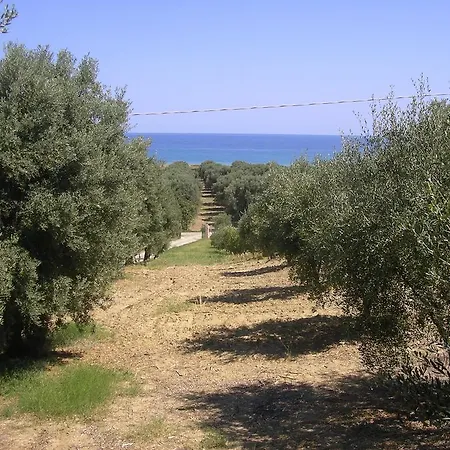 Farma Agriturismo Torre Rinusa